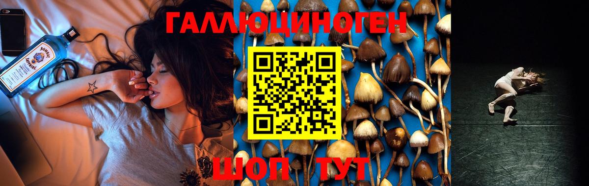 Галлюциногенные грибы прущие грибы Калуга